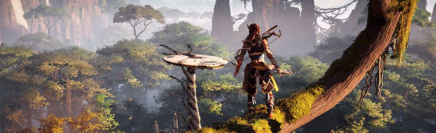 Black Friday Sale: Horizon Zero Dawn