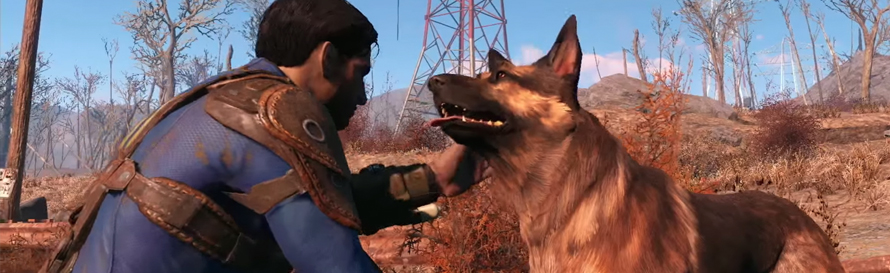 dogmeat