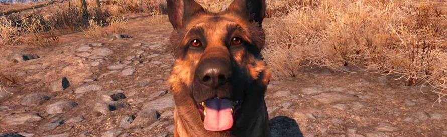 Dogmeat