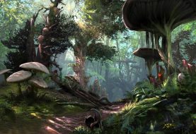 Morrowind Release Date, Trailer And Editions