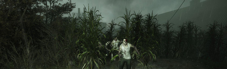 Left 4 Dead Rain