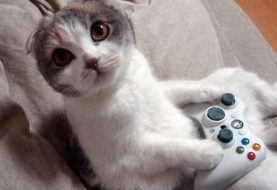 Top 10 Cats in Videogames