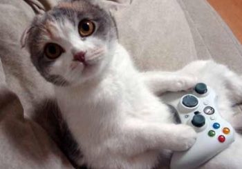 Top 10 Cats in Videogames