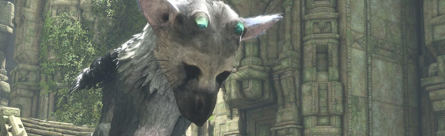 trico