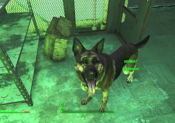 Year of the Dogmeat: Fallout 4's Canine Companion