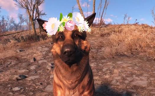 Year of the Dogmeat: Fallout 4's Canine Companion - Green Man Gaming Blog
