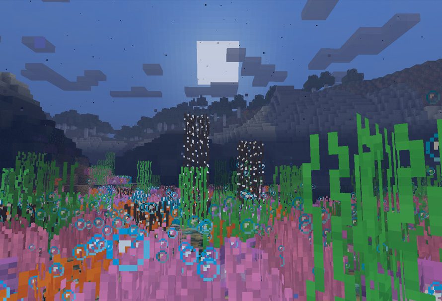 Minecraft raises money to save coral reefs