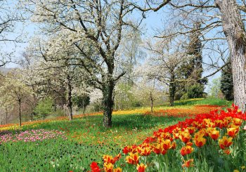 Spring Sale: The Bestsellers