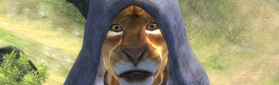 M'aiq Elsweyr