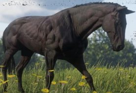 Red Dead Redemption 2: Guide To Getting The Best Horse
