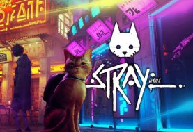 What Is Stray? Everything You Need To Know About Stray - Updated